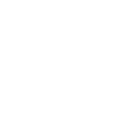 Free Shipping Icon